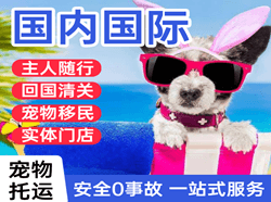 南通机场货运国际宠物托运 【国